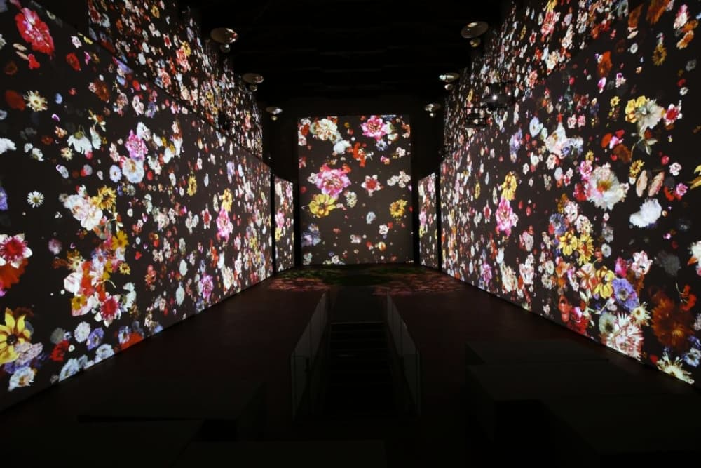 fechas para Monet Experience