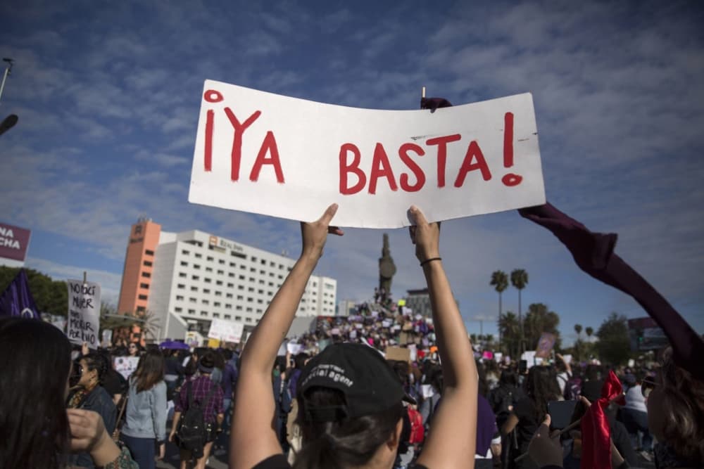 registro público de agresores sexuales