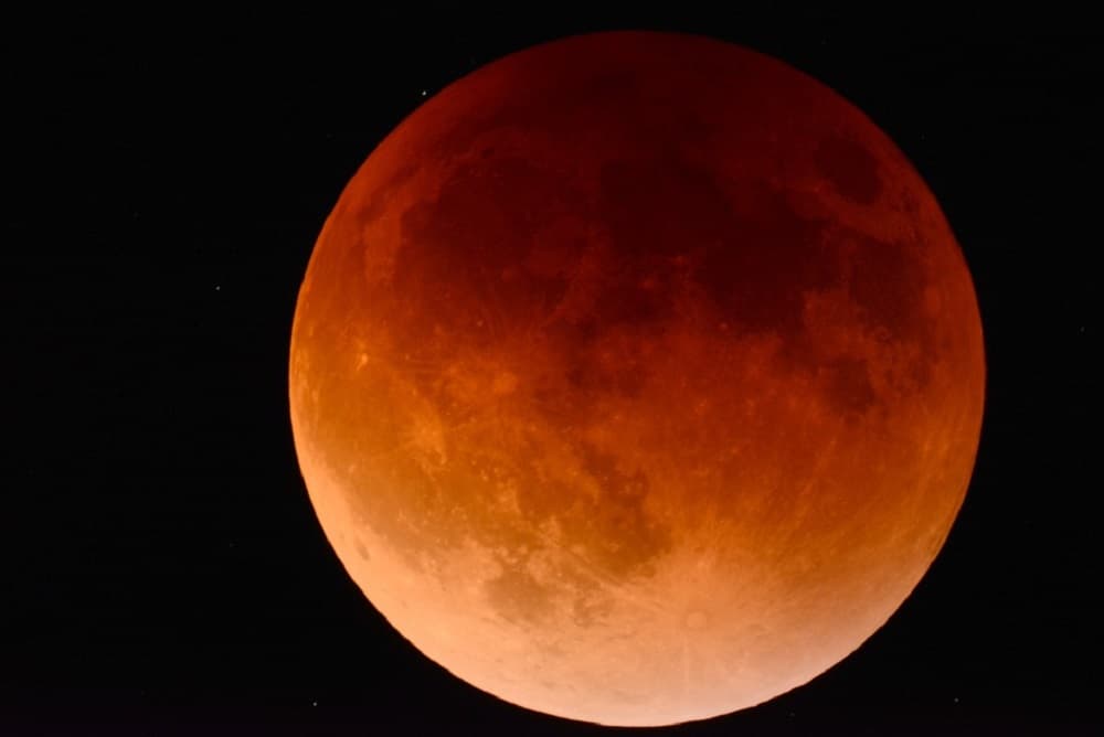 ¡Auuuu! Tendremos Luna de sangre de lobo en enero