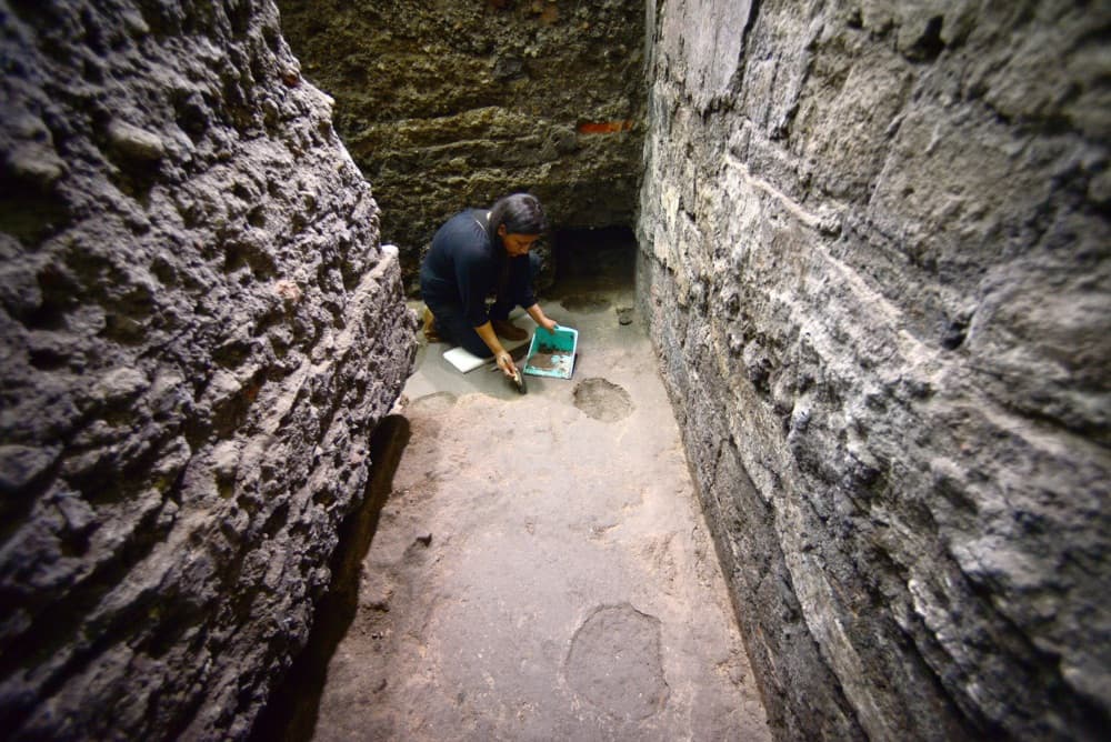 hallazgo en el Templo Mayor