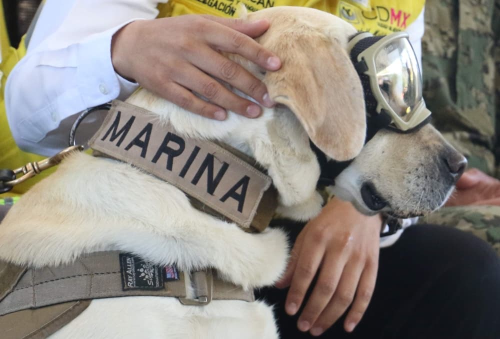 Marina impide que Frida sea marca de cerveza