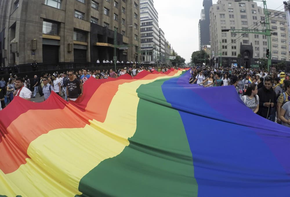 Nueva línea del Consejo Ciudadano busca apoyar a comunidad LGBTTTI