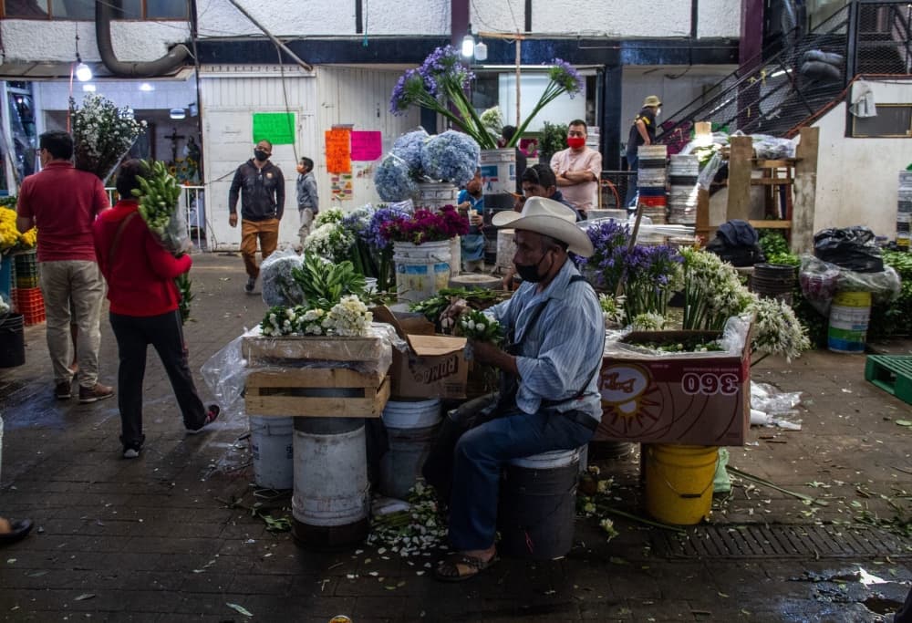apertura del mercado de jamaica