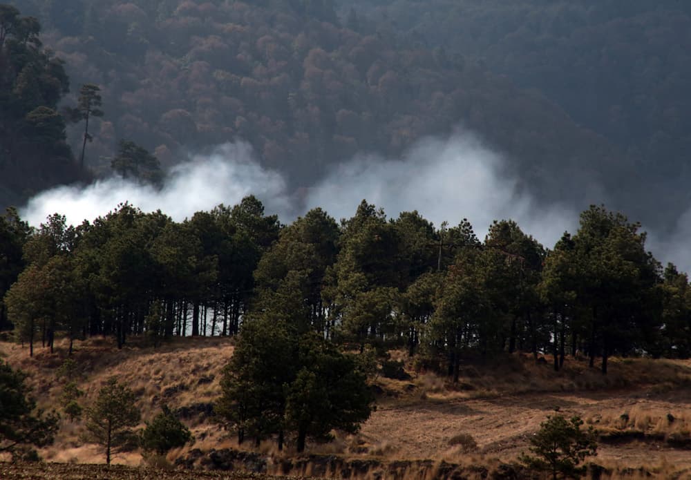 manantial en el ajusco