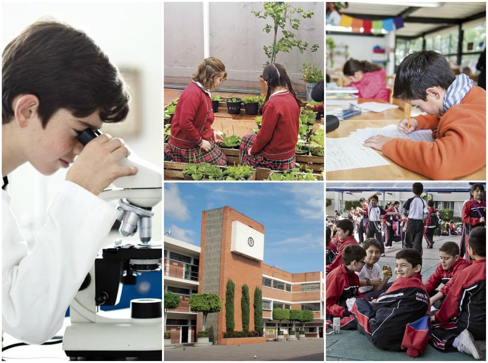 mejores primarias de la CDMX