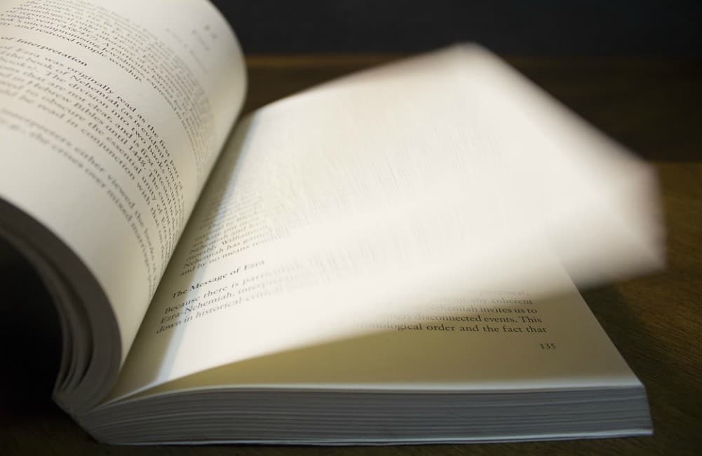 Durante el remate en el Museo Franz Mayer podrás conseguir libros, trípticos y catálogos desde $1. Aparta estos dos días de abril.