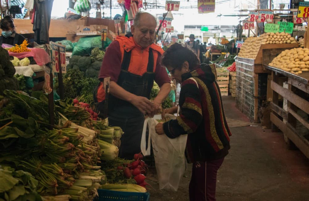 qué bolsa contamina menos el ambiente