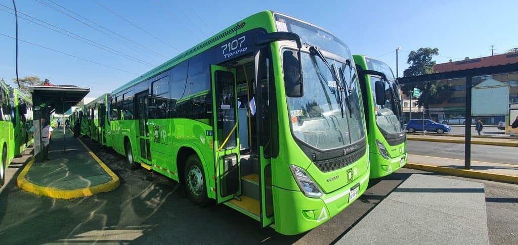 nuevos autobuses RTP