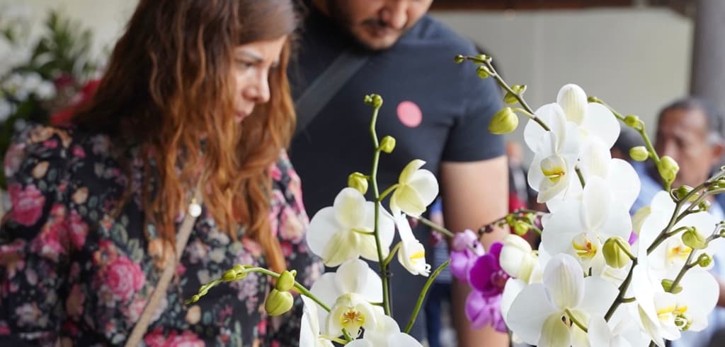 Museo Franz Mayer: 40 aniversario y exposiciones imperdibles en 2026 | Foto: Museo Franz Mayer 