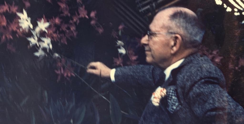 Museo Franz Mayer: 40 aniversario y exposiciones imperdibles en 2026 | Foto: Museo Franz Mayer 