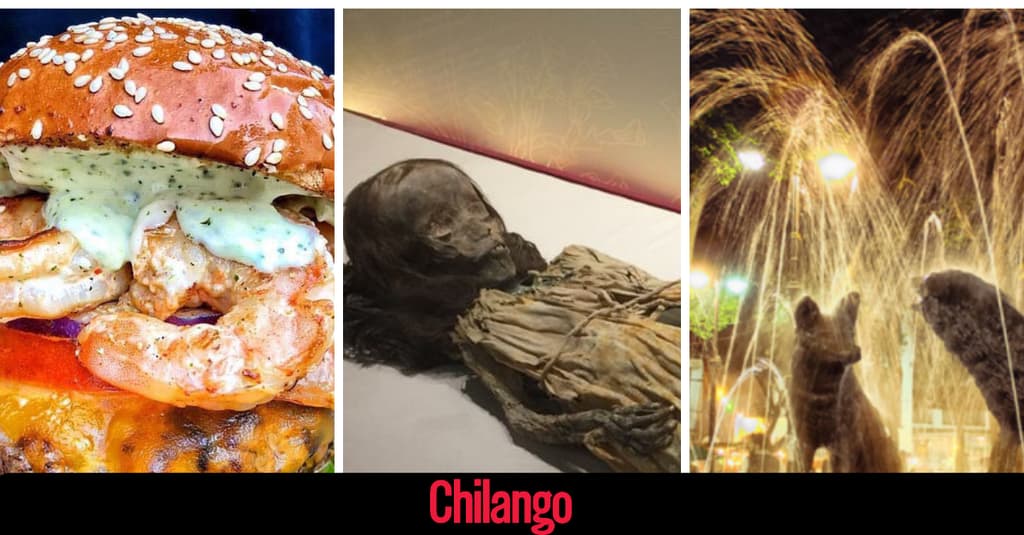 qué hacer en el sur de la CDMX