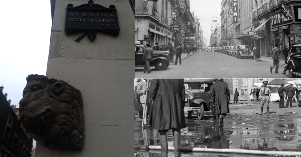 cabeza de León de Madero