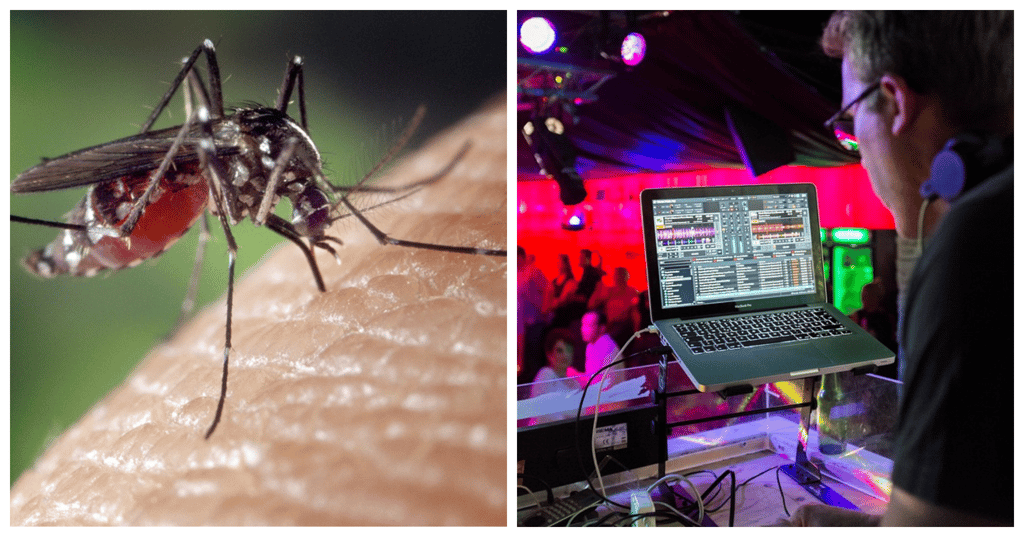dubstep contra los mosquitos