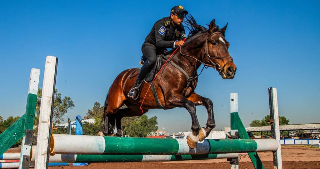Policía Montada de CDMX