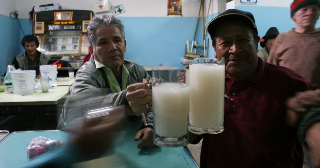Pulque será declarado patrimonio cultural inmaterial de CDMX