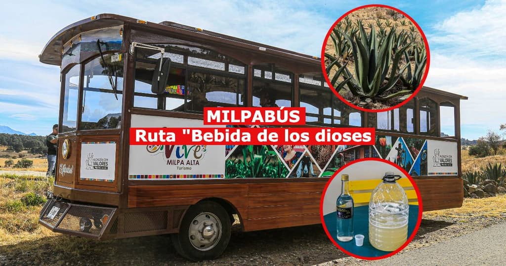 Ruta bebida de los dioses del Milpabús