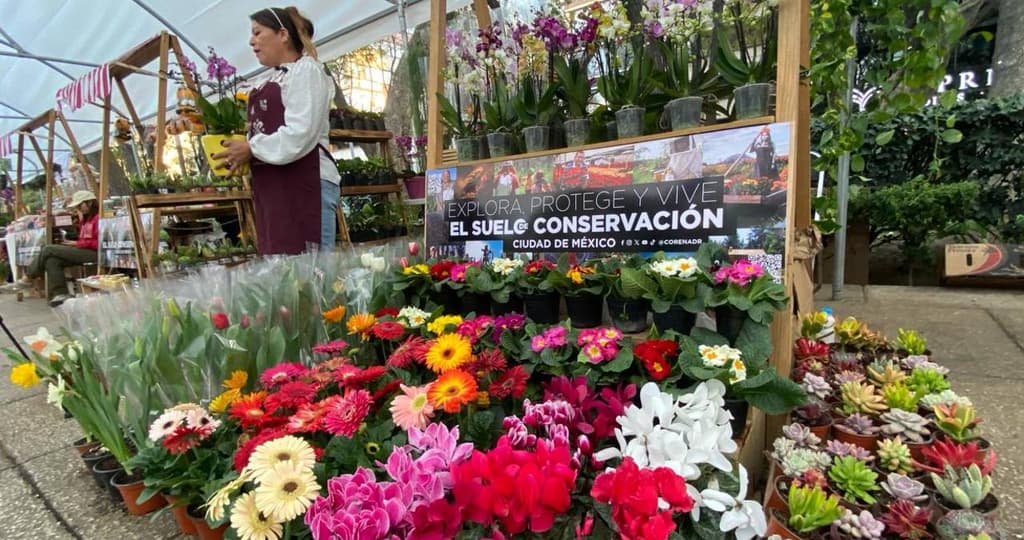 Festival de Flores de Orquídeas de CDMX