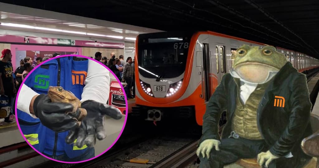 Rescatan a sapo del Metro de CDMX