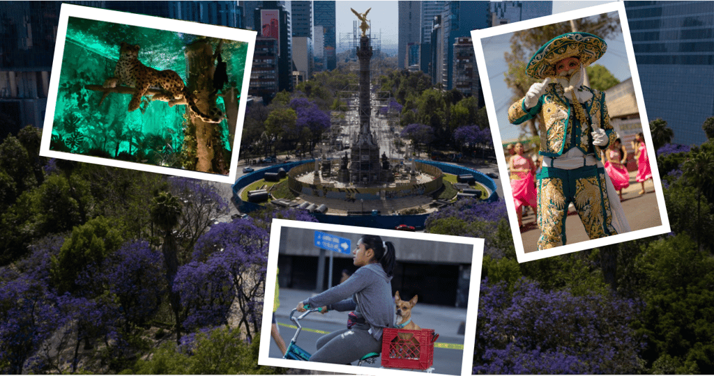 Actividades gratis del fin de semana en CDMX
