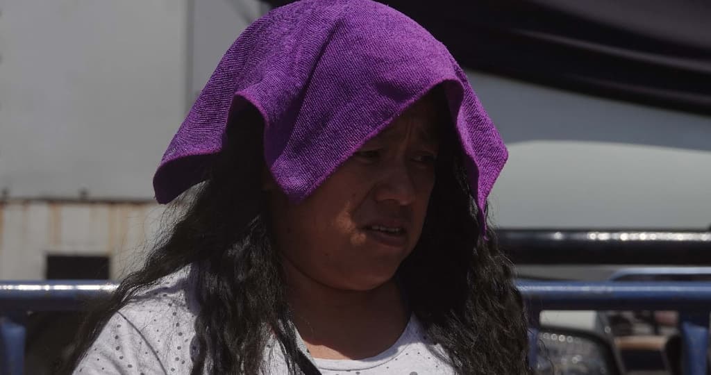 Estrés térmico y calor