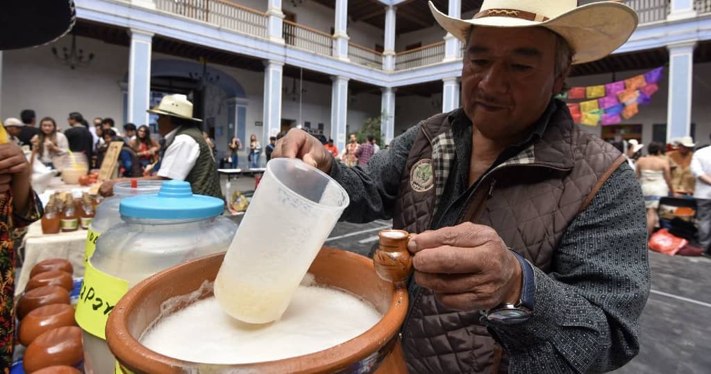 Feria del Pulque en Edomex