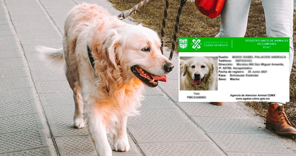 Registro Único de Animales de Compañía RUAC