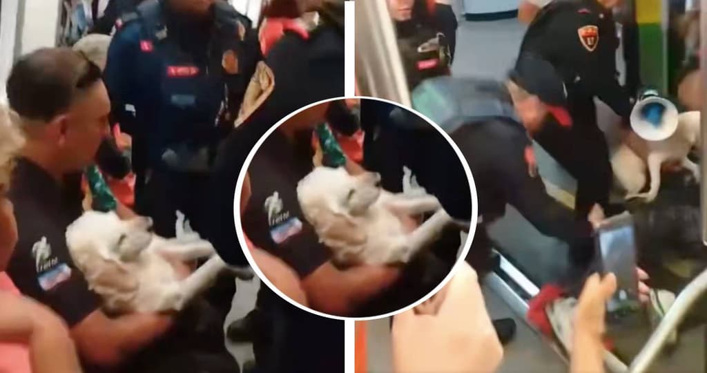 sacan a usuario y a su perro del Metro de CDMX