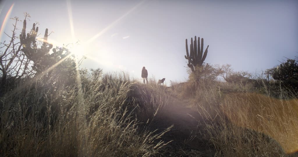 Sujo: una película que apuesta por la educación frente al narcotráfico en México | Foto: Pimienta Films
