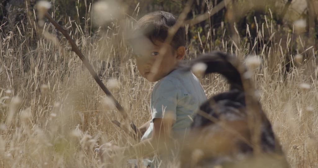 Sujo: una película que apuesta por la educación frente al narcotráfico en México | Foto: Pimienta Films