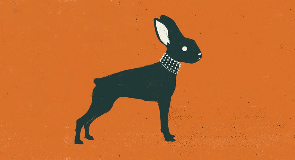 La suerte es un conejo que te da órdenes es el primer libro de cuentos de Eduardo Rabasa