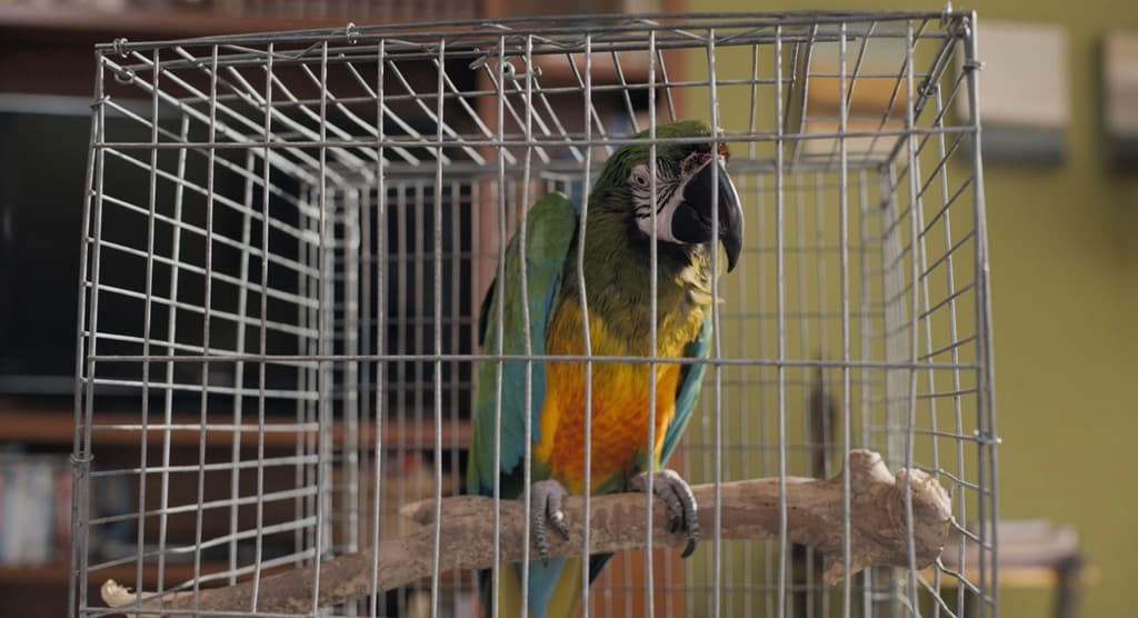 Las Mutaciones con Tony Dalton, una peli que te cambia la vida | Foto: Beanca Films