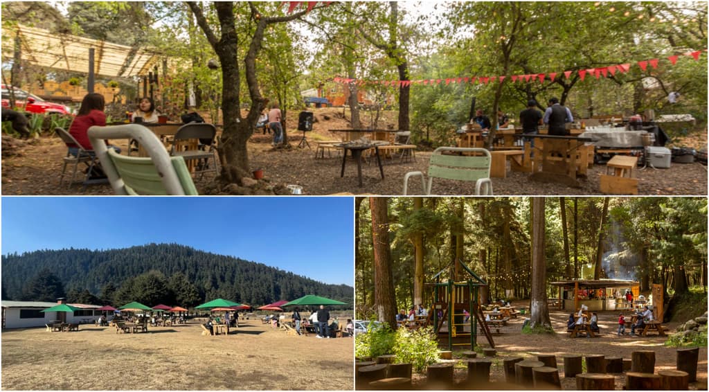 restaurantes en el bosque en CDMX 2