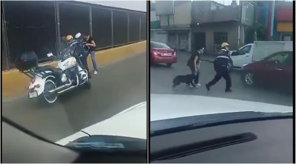 rescate de un perro en circuito interior