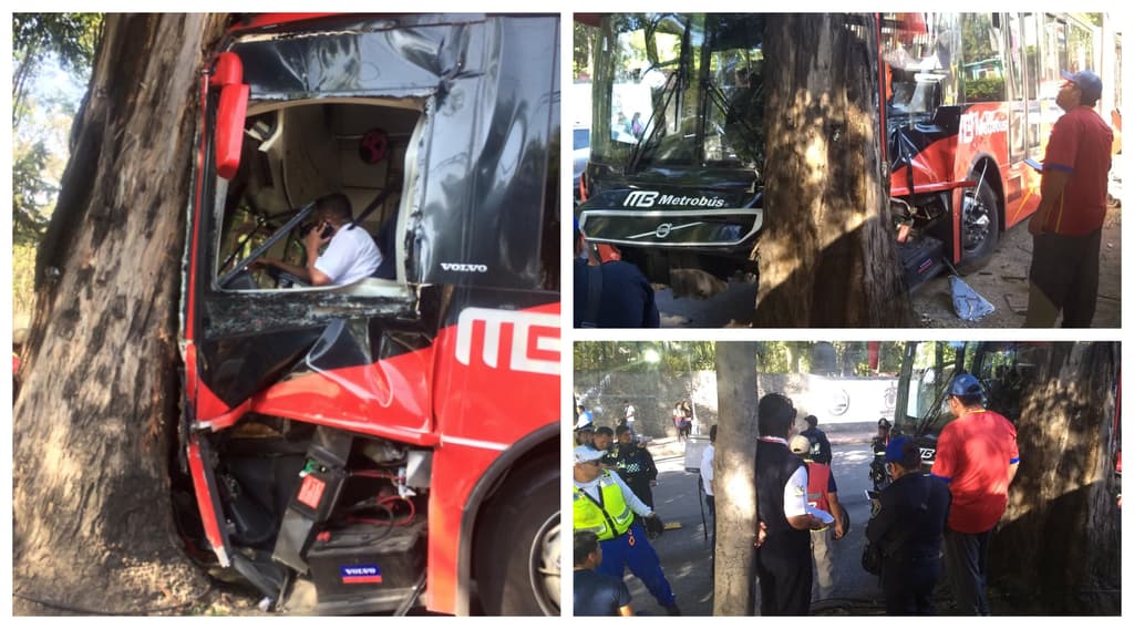 Metrobús chocó contra un árbol