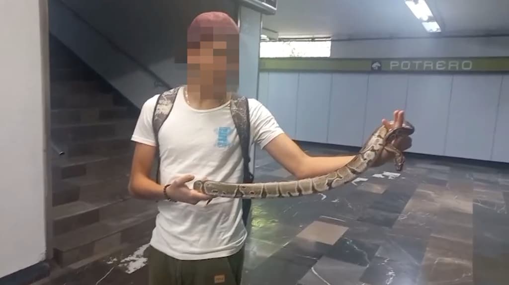 Detienen a joven con serpiente en el Metro de CDMX