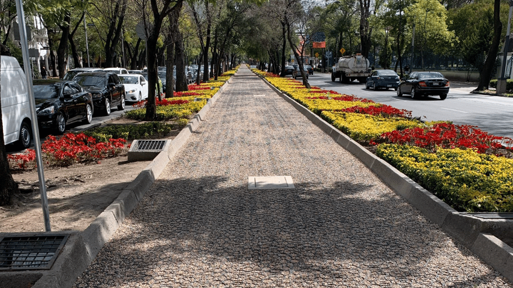 Sendero Compartido Reforma