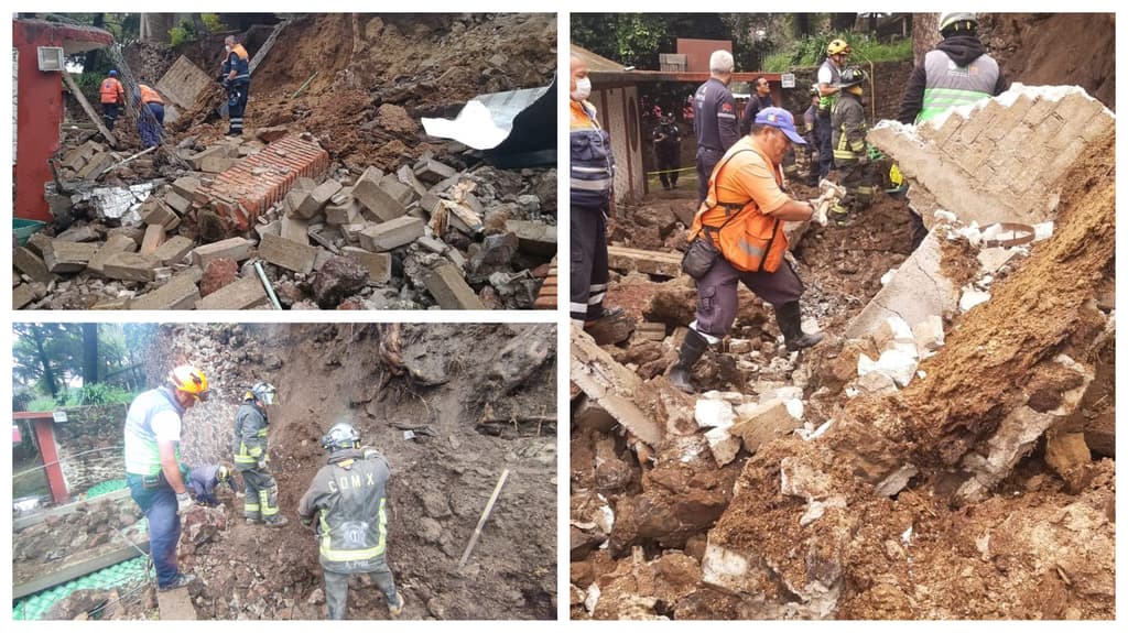 Derrumbe en un refugio para perros