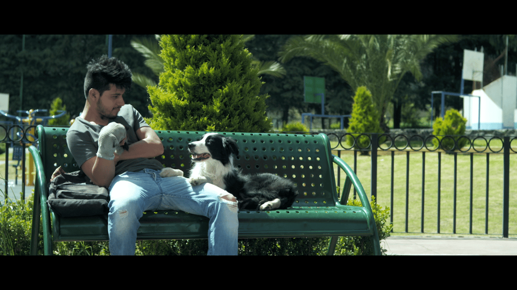 Cometa. Él, su perro y su mundo
