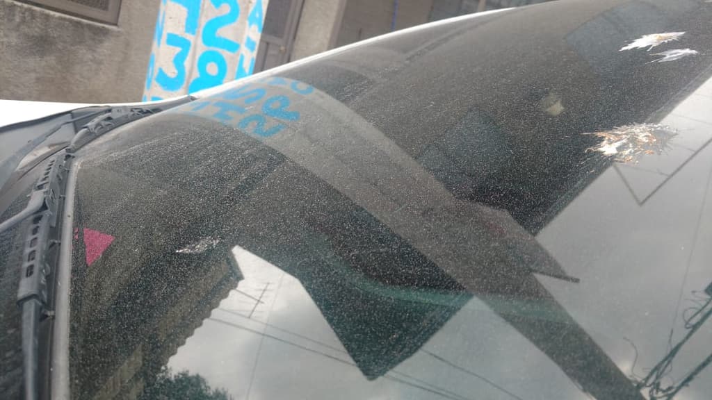 caida de ceniza en cdmx