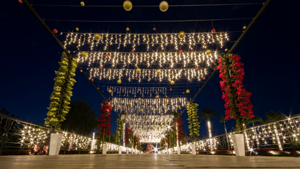 Navidad en Jardines de México