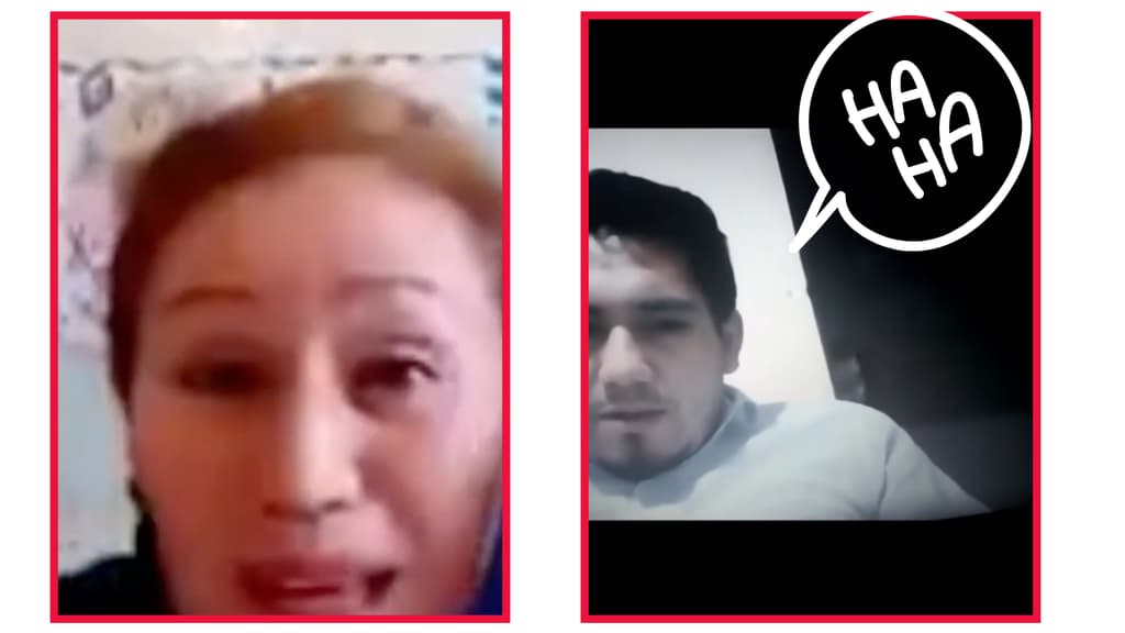 videos graciosos clases en linea