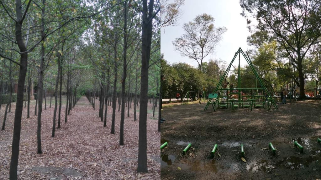 andador en viveros de Coyoacán