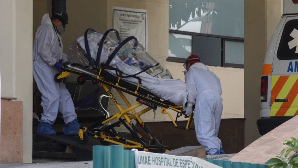 hongo negro en México