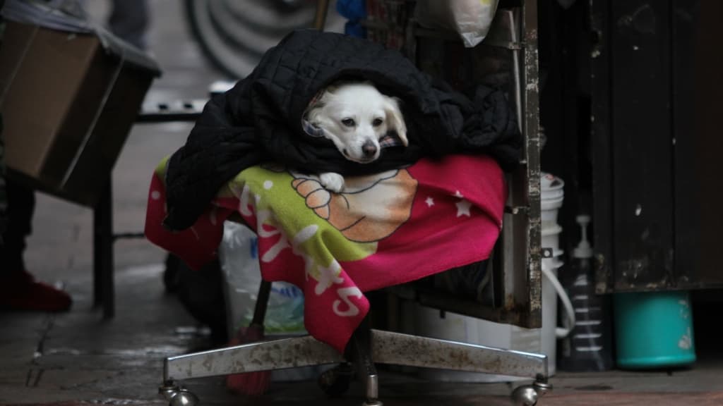 clima del 16 de julio