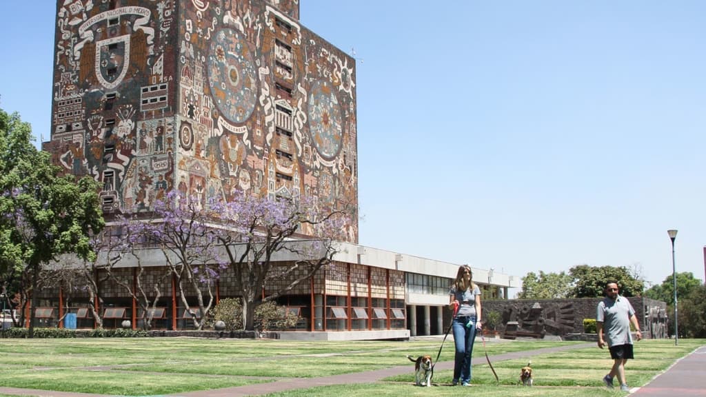 Nueva licenciatura en la UNAM