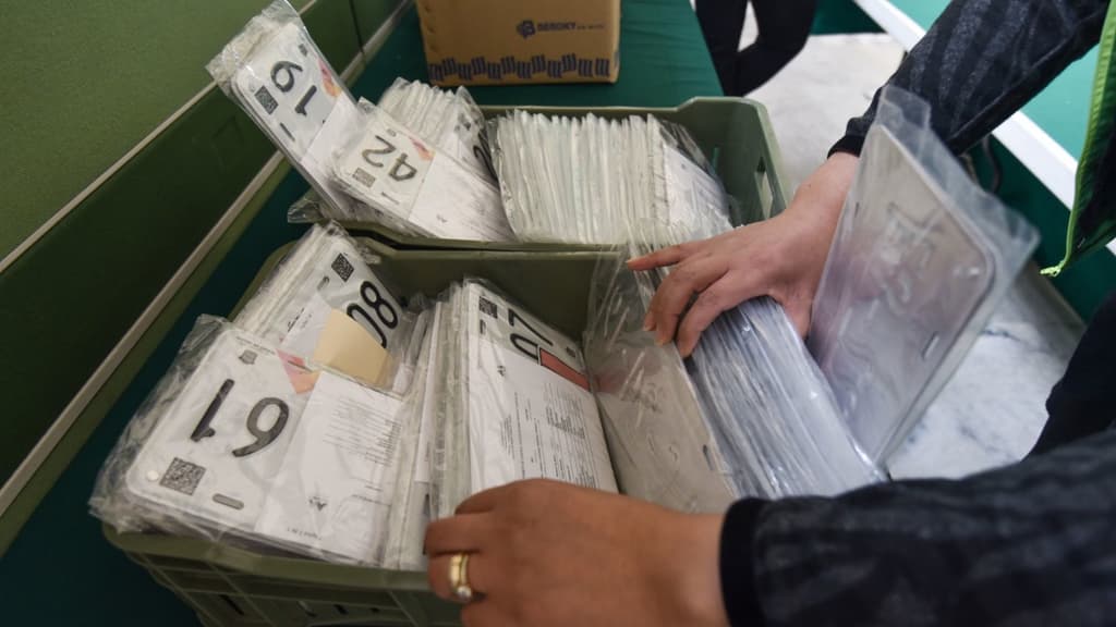 renovación de placas en el Edomex