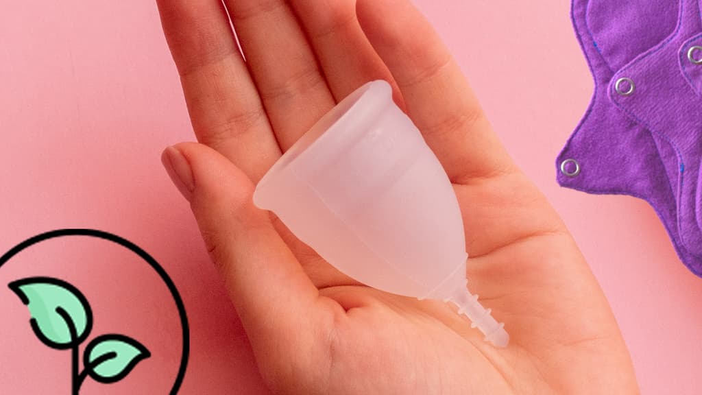 productos menstruación ecológica
