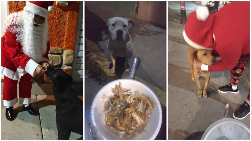 cenas navideñas a perros callejeros