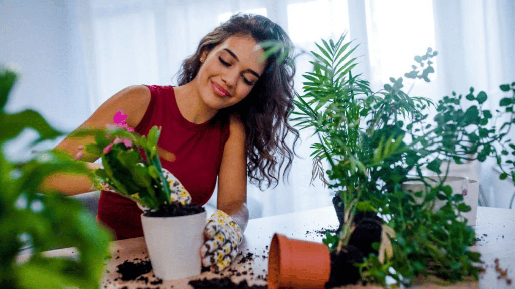 fertilizantes caseros