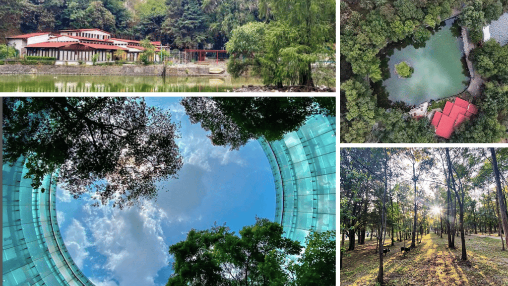parques jardines poco conocidos CDMX